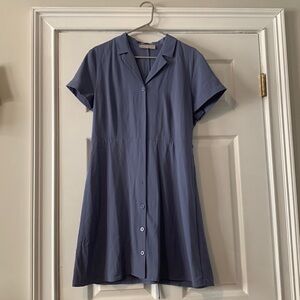 Everlane button dress